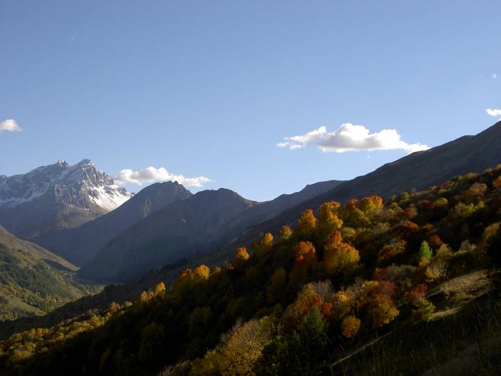 couleurs d automne 